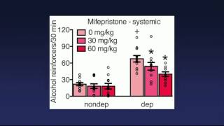 Mifepristone treatment of alcoholdependent rats and humans [upl. by Ogren676]