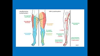 Lymphabfluss vom Bein  Strahlentherapie Prof Hilke Vorwerk [upl. by Catina]