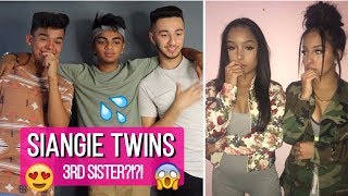 3rd SISTER  Siangie Twins Musically Compilation REACTION [upl. by Earle]