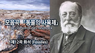 생상스SaintSaëns  제12곡 화석 모음곡 「동물의 사육제」 중에서  12 Fossiles from quotLe carnaval des animauxquot [upl. by Ennaeerb489]