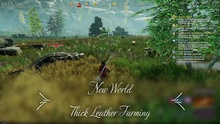 New World  Thick Leather Farming [upl. by Olgnaed]