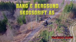 BANG amp BERGSUND SKOGSDRIFT AS  Ponsse BEAVER and BUFFALO  Norway  4K [upl. by Petes]