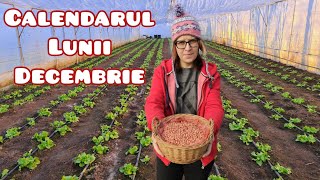 Calendarul lunii decembrie în gradina de legume și întreținerea plantelor de apartament [upl. by Hsihsa803]