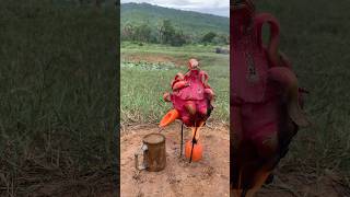 Survival Skills steam bad water in Dragon fruit camping outdoors bushcraft useful [upl. by Thetis]