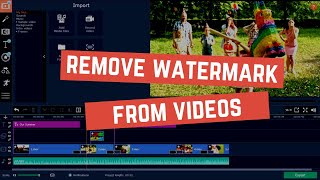 How to Remove Watermark from Video 2020 3 Easiest Ways [upl. by Werner]