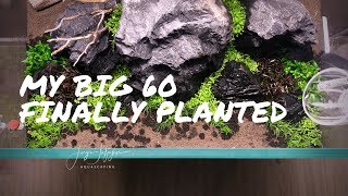 3 BEST CARPET PLANTS for beginners  60x50x40 finally planted [upl. by Ajdan150]