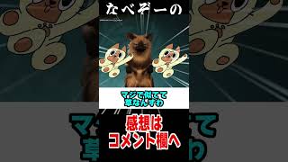 【モンハンワイルズ】オトモアイルーの声が俺に似すぎてヤバいと言われた件ｗｗｗなべぞー 解説 モンハン [upl. by Noryk]