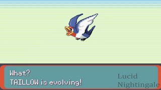 Pokemon Emerald Taillow Evolves To Swellow [upl. by Nylyak]