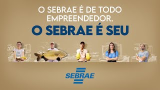 O Sebrae é Seu [upl. by Sedgewinn545]