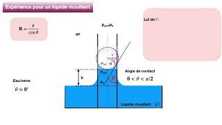 L1SVTSDV  Expliquons simplement la loi de Jurin [upl. by Eniluqaj]