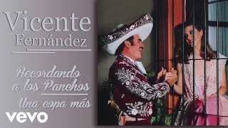 Vicente Fernández  Una Copa Más Cover Audio [upl. by Alywt]