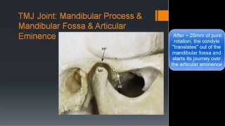 TMJ Basic Anatomy amp Biomechanics [upl. by Harlen]