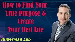 Andrew Huberman 2024  How to Find Your True Purpose amp Create Your Best Life [upl. by Thorlay906]