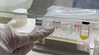 How to perform a RTPCR test  Actual Demonstration step by step of a Sputum sample  Explained easy [upl. by Nnayrrehs705]