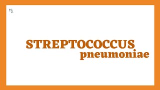 Streptococcus pneumoniae or Pneumococcus Lecture in Detail [upl. by Owain148]