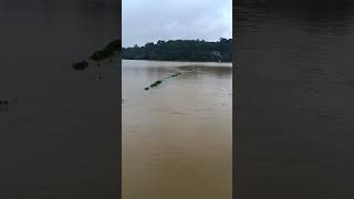 Wayanad Flood [upl. by Buford348]