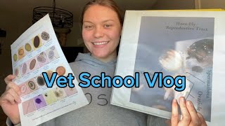 Vet School Vlog  2nd year vet student [upl. by Gnivre919]