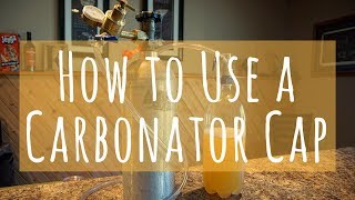 How to Use a Carbonator Cap to Force Carbonate Cider Without a Keg [upl. by Darrill]