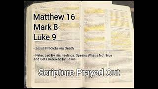 Jesus Predicts His Death  Peter Led By Feelings Speaks and Gets Rebuked by Jesus [upl. by Reede]