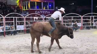 ‼️ES EL CAMPEÓN🏆 SIN CORONA‼️ Torneo 300 MIL en Tepelmeme Oax Rancho El Rosario del Chino Morales [upl. by Robinetta994]