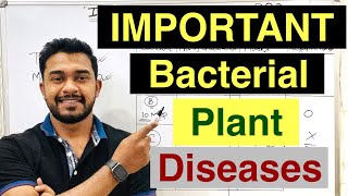 Top ten bacterial plant diseases  most important plant diseases  for entrance  must watch [upl. by Nodyarb]