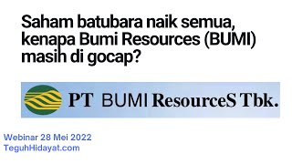 Prospek Saham Bumi Resources BUMI di Tengah Tingginya Harga Batubara [upl. by Dinsmore]