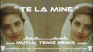 Mutlu Temiz  Te La Mine tiktokremix [upl. by Aggy]