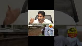 మింగింది మీమల్ని రా టీడీపీ కవరింగ్ బ్యాచ్ 💦😂 ysjagan tdpfakepropaganda ytshorts andhraprdesh [upl. by Wolenik]