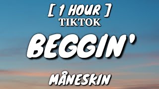 Måneskin  Beggin Lyrics 1 Hour Loop TikTok Song [upl. by Aneeuqahs]