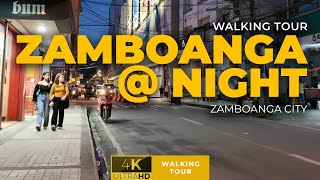 Zamboanga At Night A Night Walking Tour in Zamboanga City Proper [upl. by Olaznog]