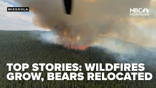 TOP STORIES Wildfires grow bears relocated plastic ban proposal rainy weekend [upl. by Esinev932]