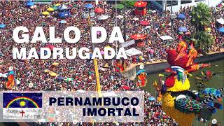 Carnaval RECIFE  GALO DA MADRUGADA [upl. by Treacy]