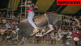 🔴 En Vivo TORNEO NACIONAL DE TOROS DE REPARO🔴 en Iguala Guerrero 15 Junio 2024  Torneo de Jaripeo [upl. by Leimaj738]