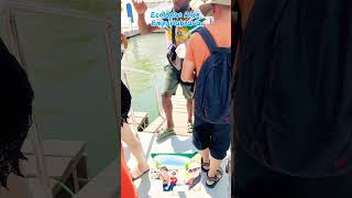 686 🌼 Eco Boat Ride Empuriabrava ytshorts shortvideo 474 trending 😍boat empuriabrava [upl. by Lledyl71]