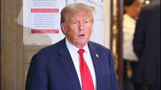 Trump goes FULL DESPERATION in panicked move in DC court [upl. by Erdnaid311]