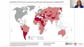 Épidémiologie globale de l’échinoccocose kystique  Global epidemiology of Cystic Echinococcosis [upl. by Viola]