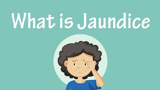 What is Jaundice  Different Types of Jaundice [upl. by Nosnorb]