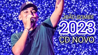 JOÃO GOMES 2023  CD NOVO 2023  MÚSICAS NOVAS  REPERTÓRIO NOVO 2023 [upl. by Airalednac745]