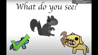 Scaredy Squirrel Makes a Friend Animated [upl. by Arais]