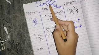 Revision of endocrine Physiology last part effects of hormones on fats and protein metabolism [upl. by Young458]