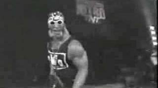 WCW  Classic nWo Moments [upl. by Phare]