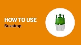 How to use Buxatrap from Koppert [upl. by Aciria]