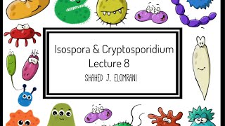 9 Isospora Belli amp Cryptosporidium Parvum [upl. by Naegem]