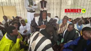 🔴 Direct Ndiambour Sine  Yobou Ndogou des fils de Serigne Cheikh Ndigal [upl. by Etteraj]