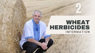 Herbicide 2 Timing in Wheat Farming Atrazine Metolachlor and More [upl. by Airtemak]