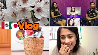 La verdadera realidad de un Youtuber  Me voy hasta Yucatán  sakura VLOG JAPON [upl. by Henning814]