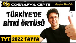 TÜRKİYEDE BİTKİ ÖRTÜSÜ  TYT COĞRAFYA [upl. by Reedy]