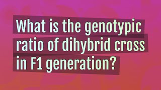 What is the genotypic ratio of dihybrid cross in F1 generation [upl. by Albert]