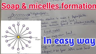 Soap and micelles formation in easy way with brief [upl. by Dennis]