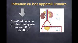 Infections urinaires  1 Quels examens prescrire [upl. by Dlonyer]